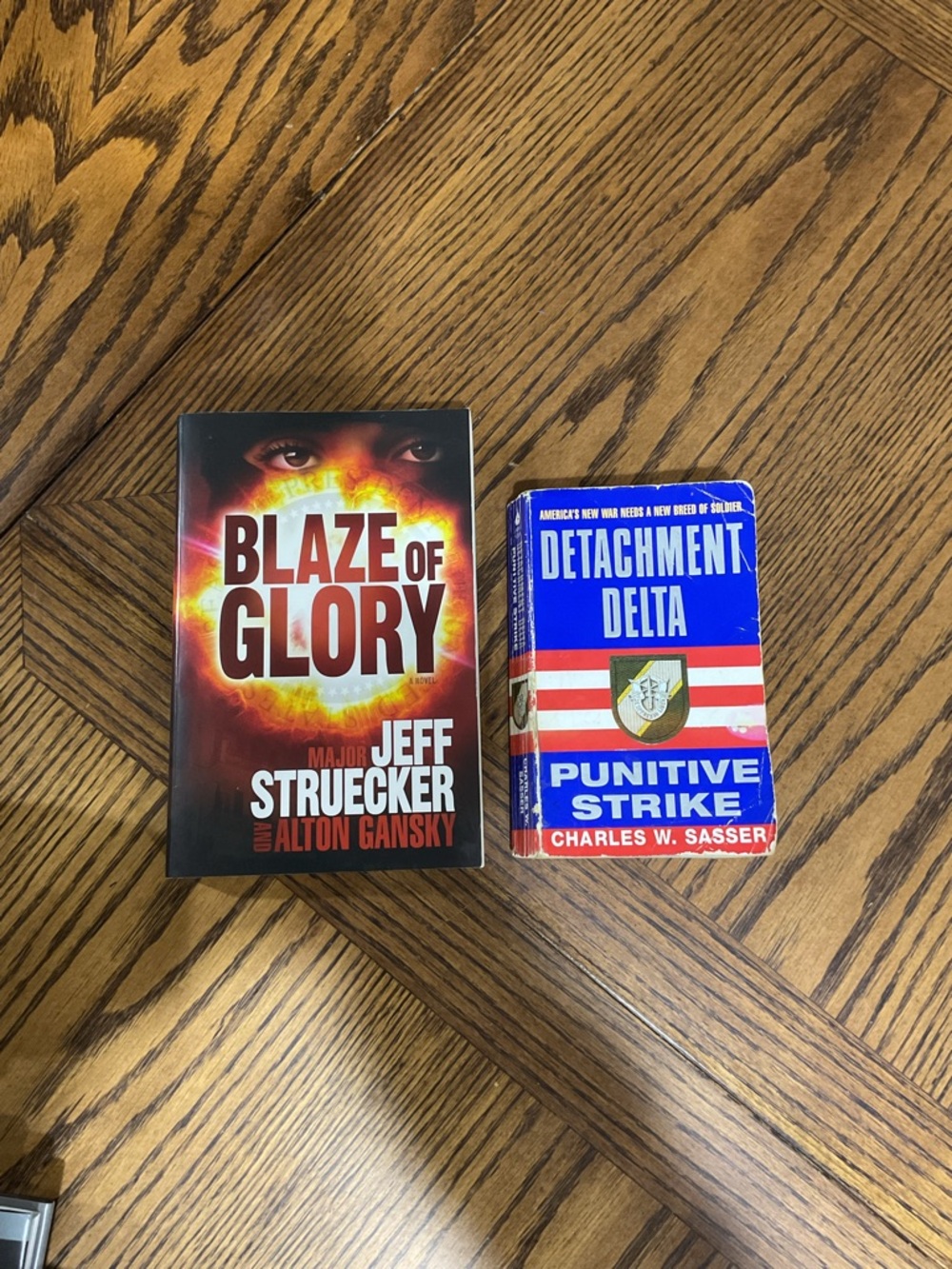Blaze of Glory & Detachment Delta Military Novels: Middle East Terrorist Mission